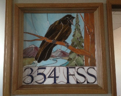 354 FSS
